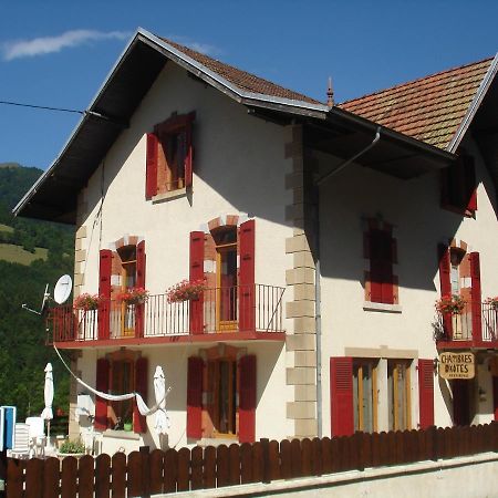 Le Petit-Bornand-les-GlieresL'Horizon Des Alpes住宿加早餐旅馆 外观 照片