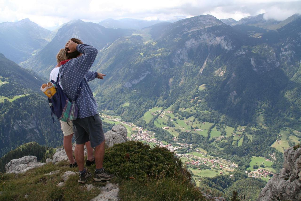 Le Petit-Bornand-les-GlieresL'Horizon Des Alpes住宿加早餐旅馆 外观 照片